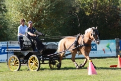 fuchsjagd_201871_20181014_1830222215