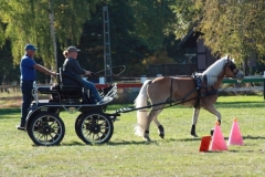 fuchsjagd_201873_20181014_1476560730