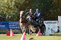 fuchsjagd_201874_20181014_1713617131