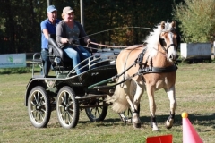 fuchsjagd_201875_20181014_2009754272