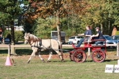 fuchsjagd_201876_20181014_1257651746