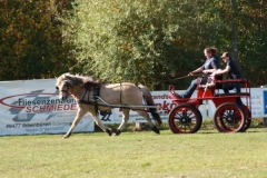 fuchsjagd_201877_20181014_1084319986