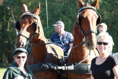 fuchsjagd_201878_20181014_1849504169