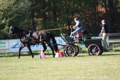 fuchsjagd_201879_20181014_1769422243