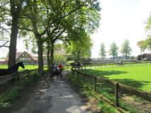 k-IMG_2775