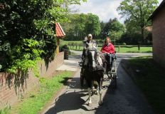 k-IMG_2777