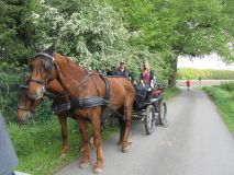 k-IMG_2778