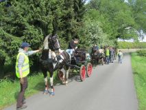 k-IMG_2779