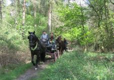 k-IMG_2785