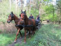 k-IMG_2786