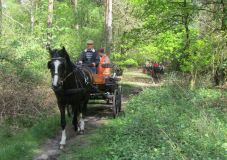 k-IMG_2787