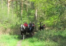 k-IMG_2788