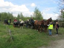 k-IMG_2789