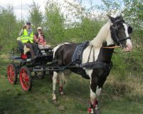k-IMG_2790