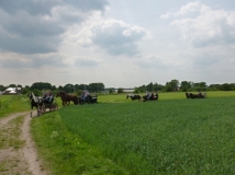 20180514_1395499324_k-maifahrt_reiterhof_hunsche_lienen-092