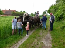 20180514_1536688877_k-maifahrt_reiterhof_hunsche_lienen-091