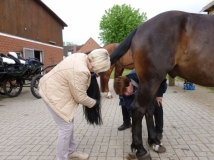 20180514_2037496910_k-maifahrt_reiterhof_hunsche_lienen-017