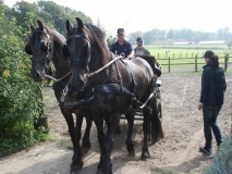 o-fahrt15_20140918_1683073716