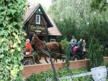 o-fahrt31_20140918_1082598030