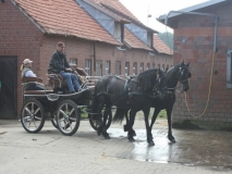 o-fahrt34_20140918_1355817489
