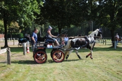 orientierungsfahrt_2016101_20160912_1913886399