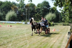 orientierungsfahrt_2016102_20160912_1499239811