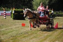 orientierungsfahrt_2016103_20160912_1377403283