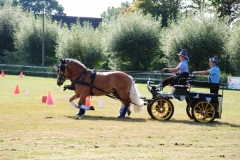 orientierungsfahrt_2016109_20160912_1427609462