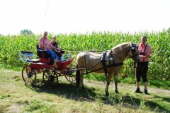 orientierungsfahrt_201654_20160912_1390522497