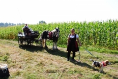 orientierungsfahrt_201656_20160912_1920779749