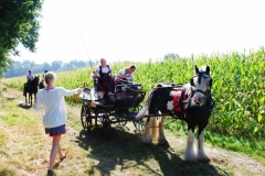 orientierungsfahrt_201658_20160912_1471574573