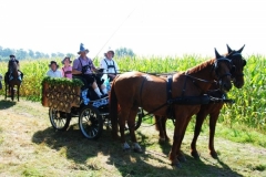 orientierungsfahrt_201663_20160912_1763785227