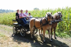 orientierungsfahrt_201665_20160912_1140091377