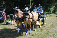 orientierungsfahrt_201666_20160912_1801741398
