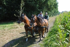 orientierungsfahrt_201667_20160912_1452757101