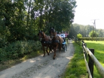 orientierungsfahrt_201677_20160912_1244957472
