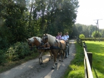 orientierungsfahrt_201680_20160912_1835888120