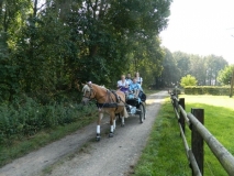 orientierungsfahrt_201683_20160912_1030617538