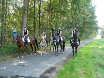 orientierungsfahrt_201690_20160912_2066587470