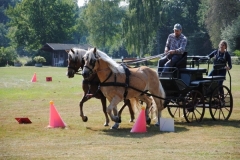 orientierungsfahrt_201698_20160912_1540184065