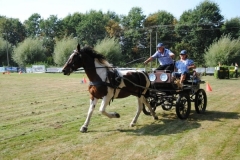 orientierungsfahrt_201699_20160912_1006258410