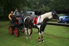 orientierungsfahrt_20173_20170910_1463525941