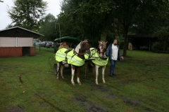 orientierungsfahrt_201740_20170910_2054205982