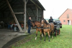 orientierungsfahrt_201749_20170910_1338819756