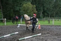 orientierungsfahrt_201779_20170910_1347488160