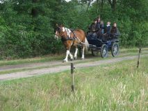 Pfingstausfahrt-Samstag-021
