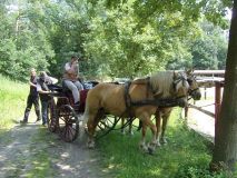 Pfingstausfahrt-Sonntag-066
