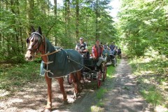 Pfingstfahrt-Bippen-2019-052