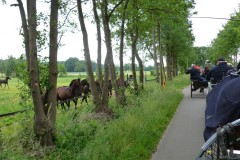 Pfingstfahrt-Bippen-2019-066