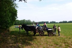 Pfingstfahrt-Bippen-2019-078